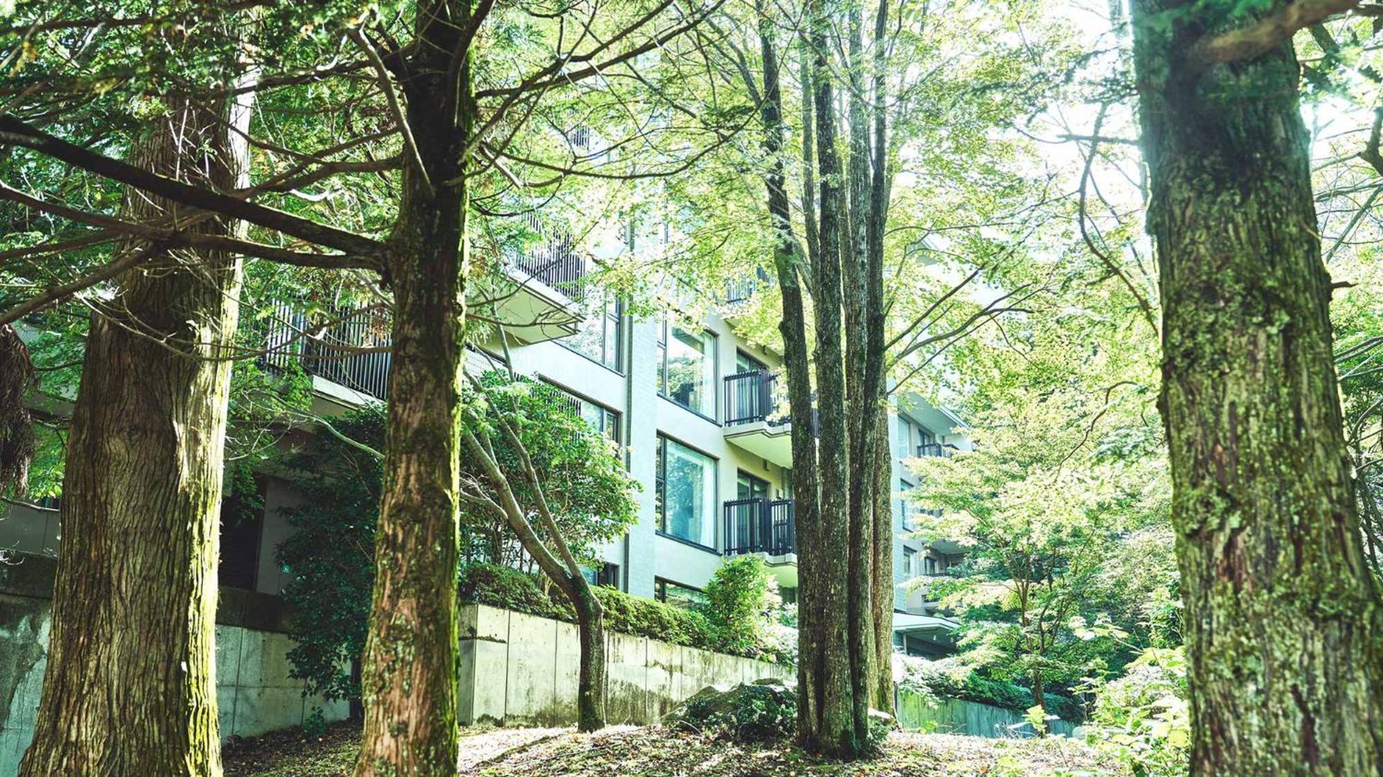 Hotel Tokyu Vacations Hakone Gora Zewnętrze zdjęcie